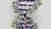 Genes Linked to Cystic Fiborsis Identified