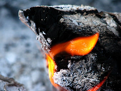 Josh Powell Kills Self, Two Sons in Home Fire