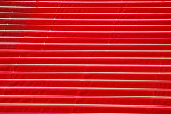 The Oscar's Red Carpet
